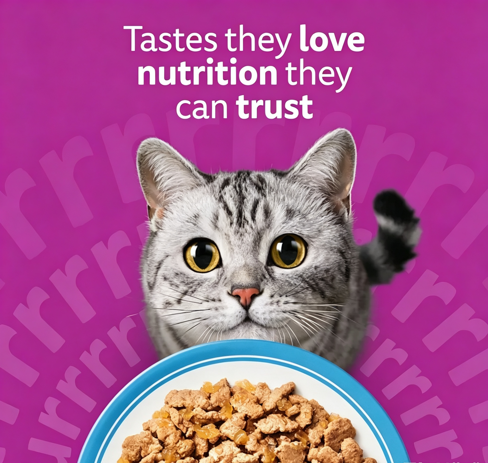 Whiskas 1+ Pouches Mega Pack 96 x 85g - Image 4